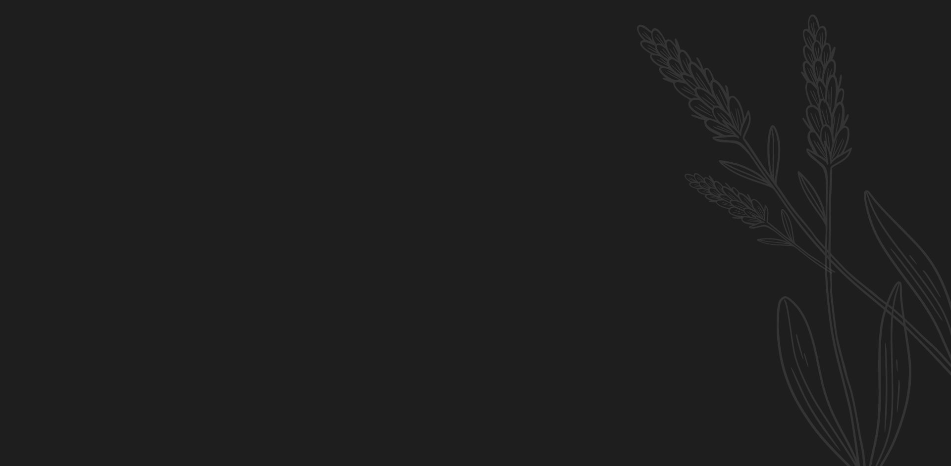 fondo_linea_productos